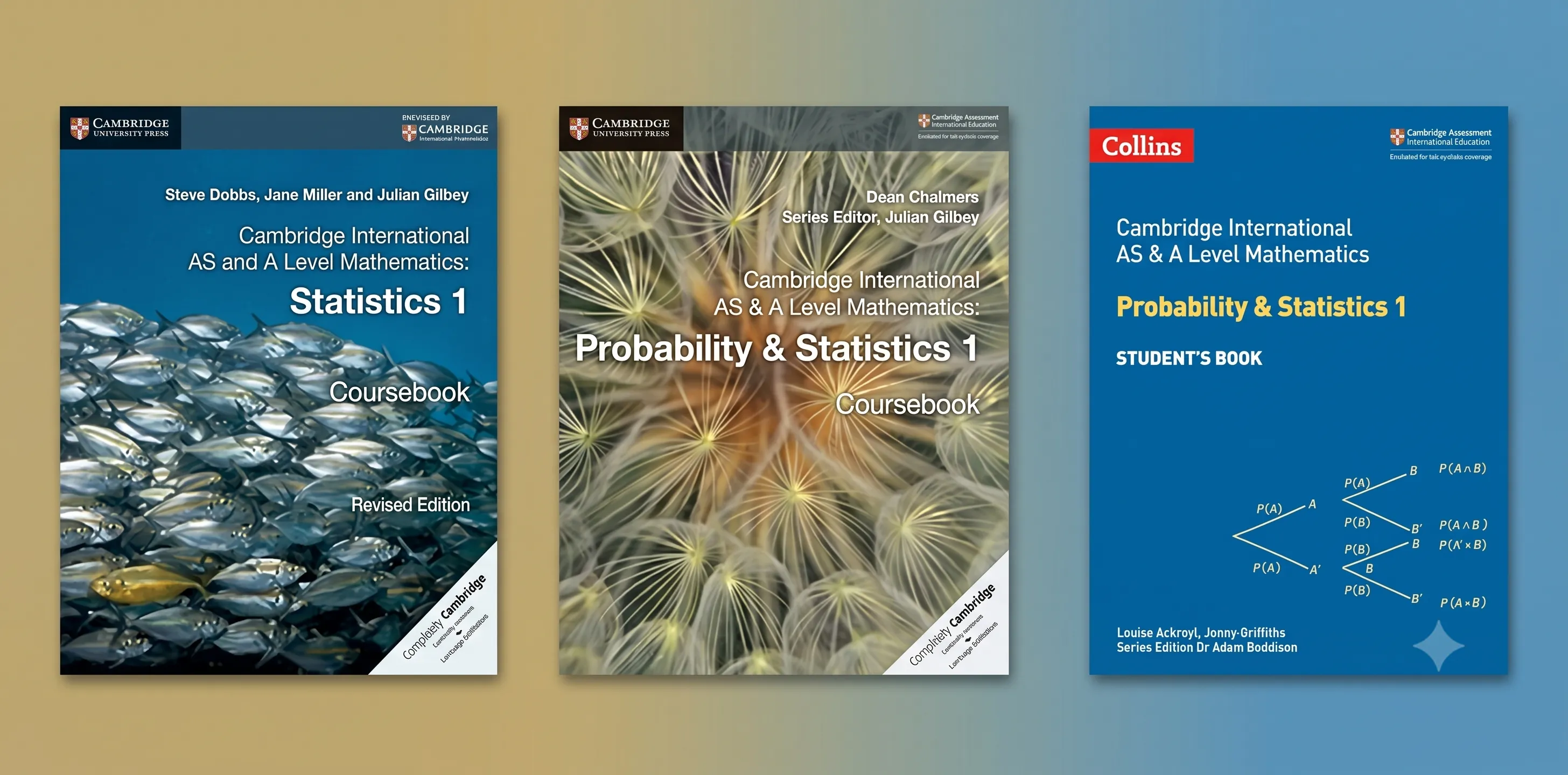 Probability & Statistics 1 S1