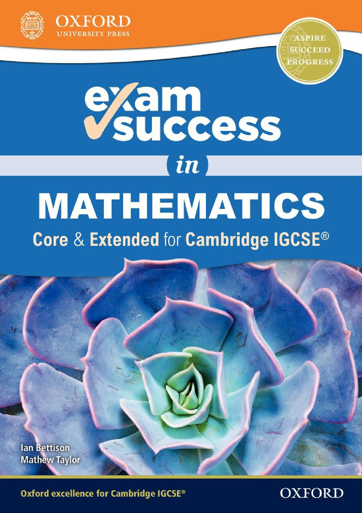 Cambridge IGCSE Mathematics Exam Success Cover