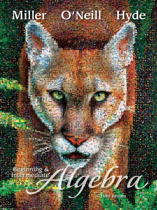 Beginning & Intermediate Algebra (3rd Edition) Cover